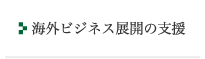 海外ビジネス展開の支援