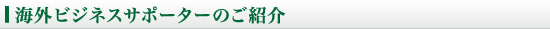 海外ビジネスサポーターのご紹介